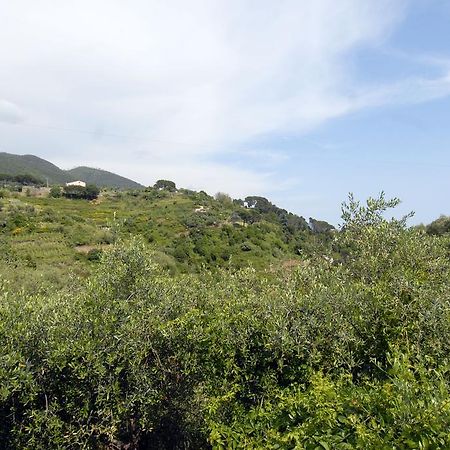 Villa Caribe Affittacamere Monterosso al Mare Ngoại thất bức ảnh
